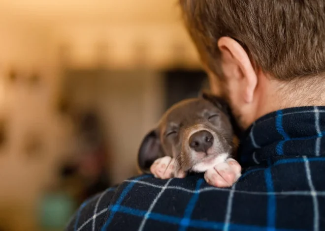 Five Crucial Steps to Ensure the Health of Your New Puppy