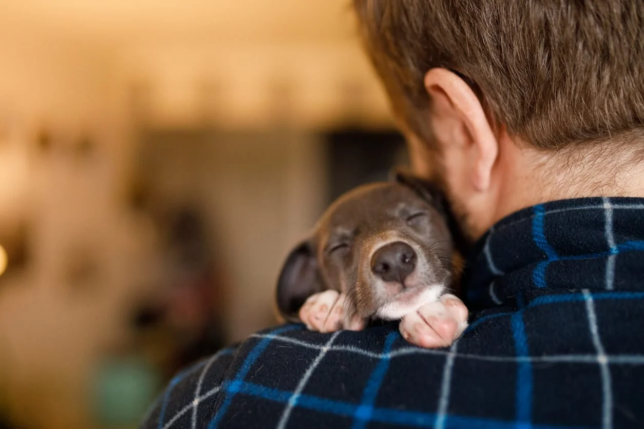 Five Crucial Steps to Ensure the Health of Your New Puppy