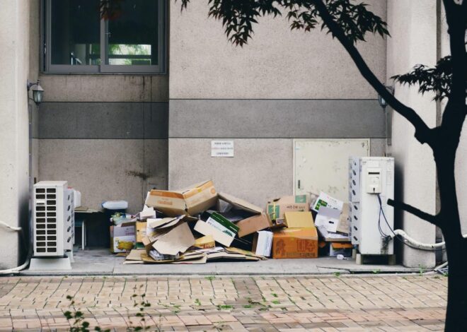 The Importance of Junk Removal for a Healthy and Productive Environment