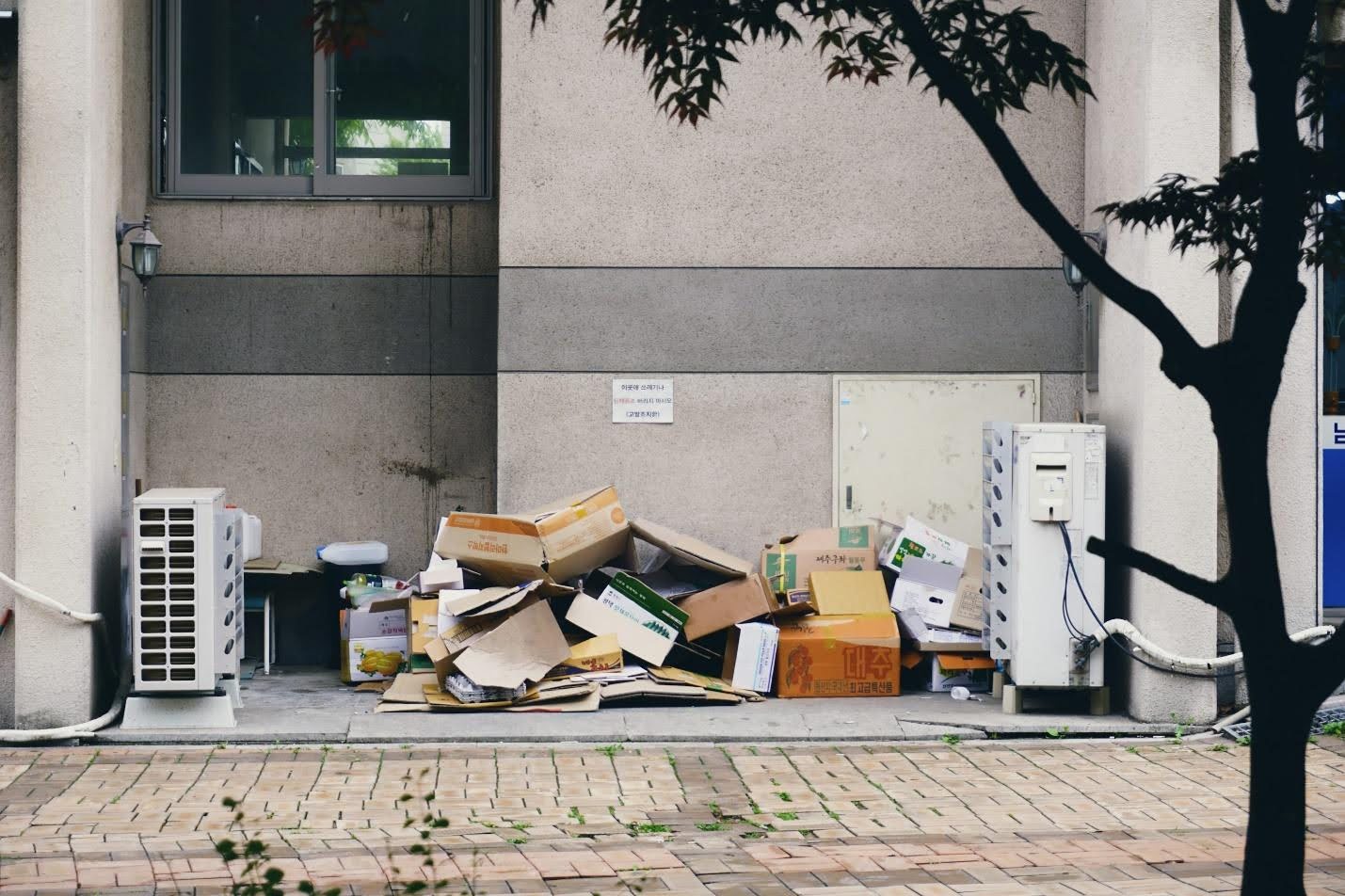 The Importance of Junk Removal for a Healthy and Productive Environment