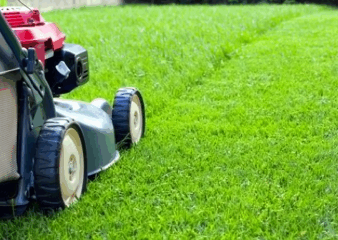 Creating the Perfect Outdoor Space: Key Services Every Homeowner Needs