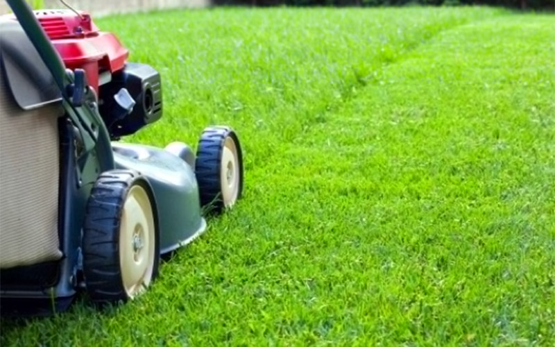 Creating the Perfect Outdoor Space: Key Services Every Homeowner Needs